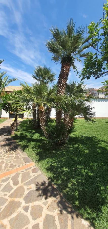 Villa Marianna Con Piscina Privata Ampi Spazi Esterni E Wifi Free 트라비아 외부 사진